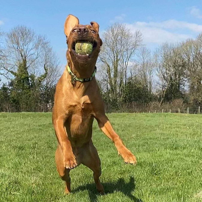 Macca - Andy Swan Driver Training